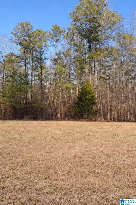 lot2 County Road 25 #2, Jemison, AL 35085
