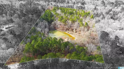 1000-1068 Camp Winnataska Rd #1, Pell City, AL 35128