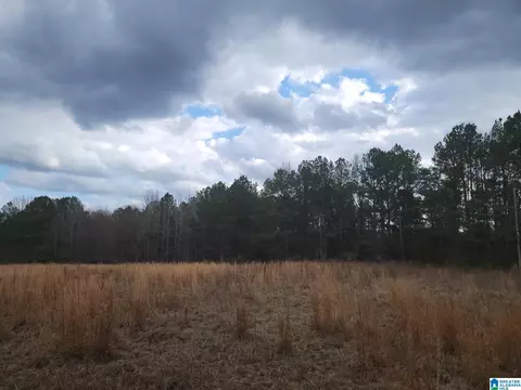 0 County Road 15 #0, County, AL 36750