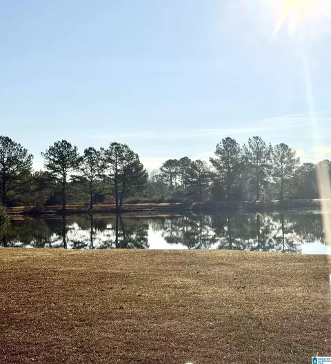 233 Wynlake Dr, Alabaster, AL 35007