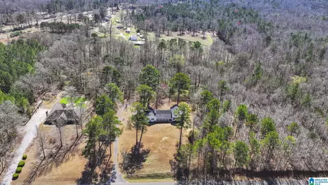 View/Area - 1695 Samaria Rd, Clanton, AL 35045 photo 2 of 3