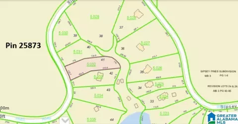 lot41 Sipsey Pines Rd #41, Arley, AL 35541