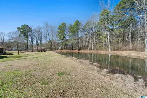 View/Area - 66 Stricklin Rd, Cullman, AL 35057 photo 2 of 12