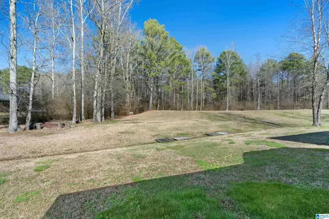 Exterior - 66 Stricklin Rd, Cullman, AL 35057 photo 7 of 12