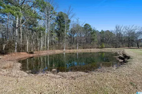 View/Area - 66 Stricklin Rd, Cullman, AL 35057 photo 1 of 12