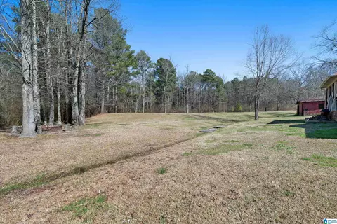 Exterior - 66 Stricklin Rd, Cullman, AL 35057 photo 10 of 12
