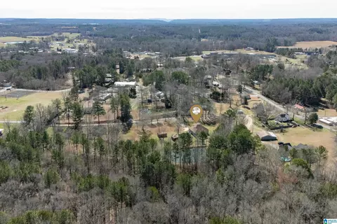View/Area - 66 Stricklin Rd, Cullman, AL 35057 photo 8 of 12