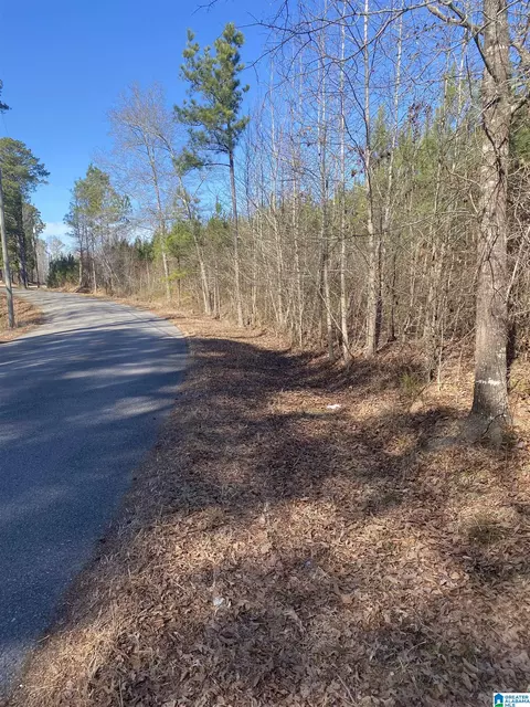 center hill road, Locust Fork, AL 35097