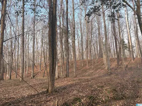 000002 Truman Aldrich Pkwy #100, West Blocton, AL 35184
