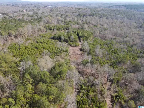0 Cunningham Ln #0, Eastaboga, AL 36260
