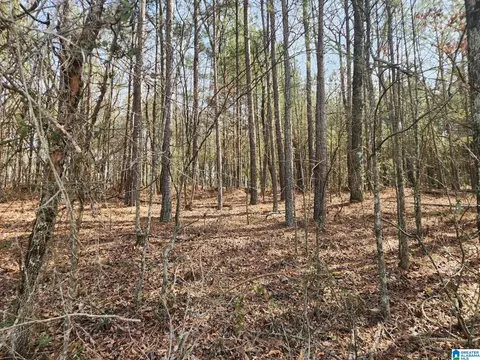 0 Highway 79 #12 ACRES, Remlap, AL 35133
