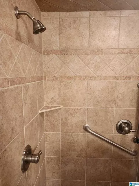 Bath - 648 Coves Point Dr, Riverside, AL 35135 photo 5 of 10