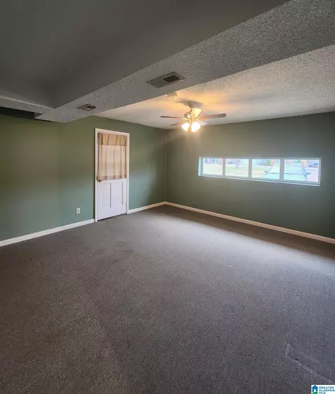 Other - 648 Coves Point Dr, Riverside, AL 35135 photo 19 of 28