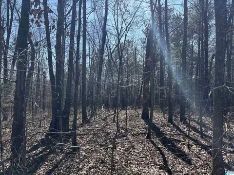 27 Acres County Road 71 #1, Woodland, AL 36280