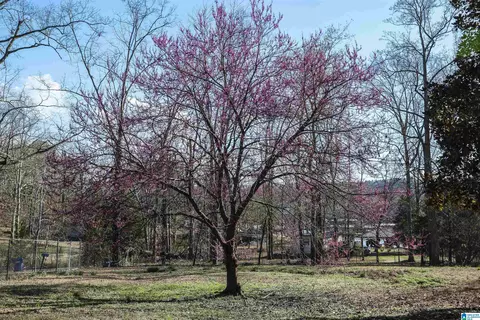 Exterior - 106 Harper Dr, Ohatchee, AL 36271 photo 17 of 31