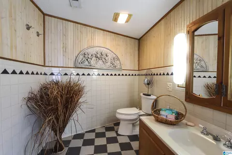 Bath - 106 Harper Dr, Ohatchee, AL 36271 photo 8 of 9