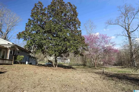 Exterior - 106 Harper Dr, Ohatchee, AL 36271 photo 29 of 31