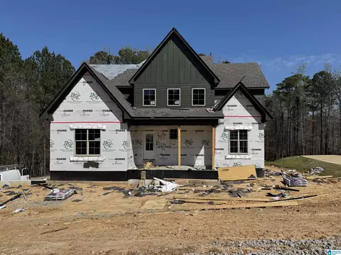 3282 River Birch Trl, Chelsea, AL 35043
