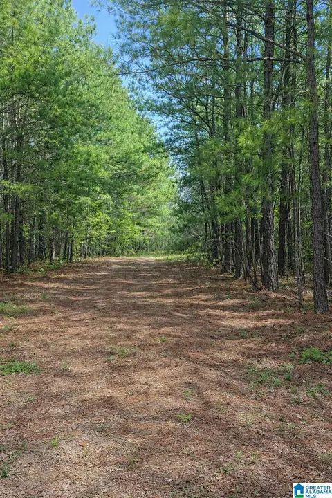 521 County Road 151, Jemison, AL 35085 photo 51