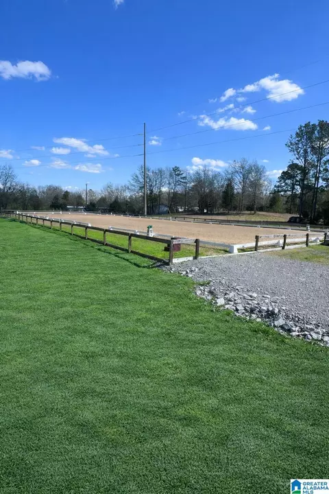 521 County Road 151, Jemison, AL 35085 photo 47
