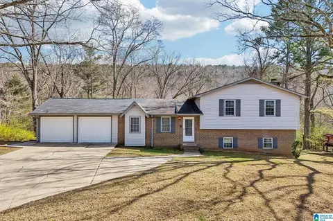 100 Oak Ln, Oneonta, AL 35121