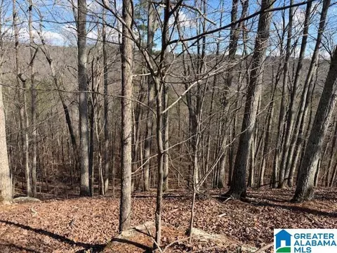 80 Snow Drive #N/A, Guntersville, AL 35976
