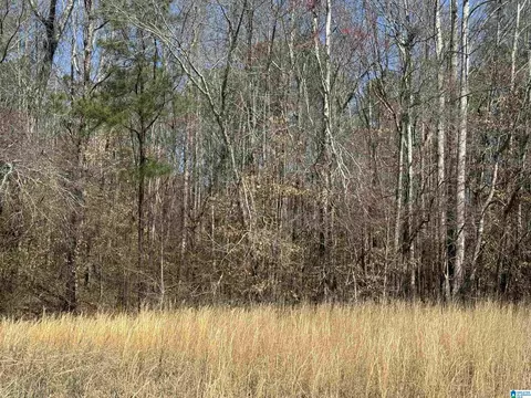 lot13 Mary Dr #13, Roanoke, AL 36274