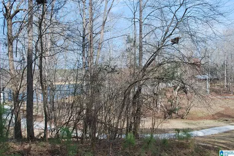 county road 8023, Lineville, AL 36266