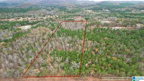 393 Siler Rd, Piedmont, AL 36272