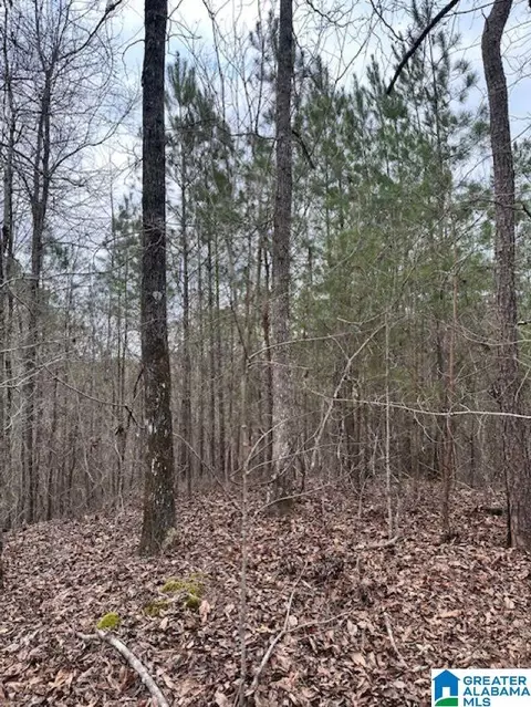 0 Highway 145 #1, Clanton, AL 35046