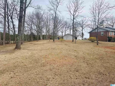 100 Ridge Ln, Warrior, AL 35180 photo 20