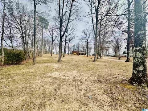 100 Ridge Ln, Warrior, AL 35180 photo 17