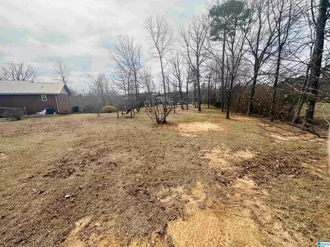100 Ridge Ln, Warrior, AL 35180 photo 14