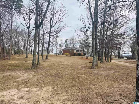 100 Ridge Ln, Warrior, AL 35180 photo 19