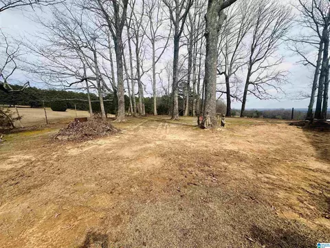 100 Ridge Ln, Warrior, AL 35180 photo 13