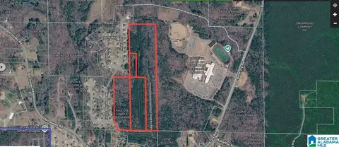 9700 Pharris Ln #1, Warrior, AL 35091