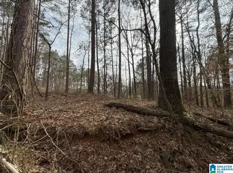 1069 Midway Estates Rd, Jacksons Gap, AL 36861 photo 26