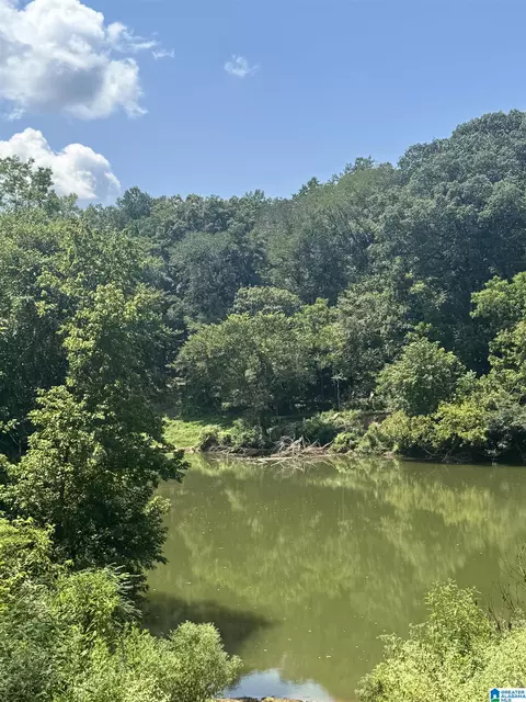 2270 Birmingham Rd #3, Centreville, AL 35042