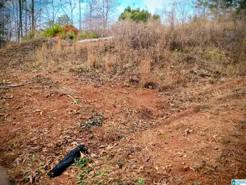 foster circle LOT 10, Lineville, AL 36266