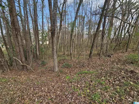 0 Moss Hill Ln #42 AND 43, Pell City, AL 35128