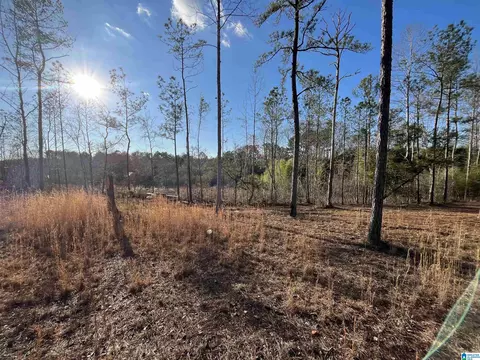 50864 Highway 22 #TRACT1, Wadley, AL 36276