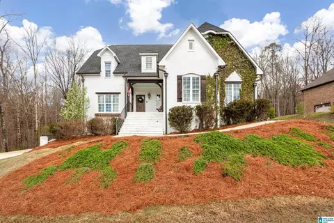 335 Gray Fox Rd, Springville, AL 35146
