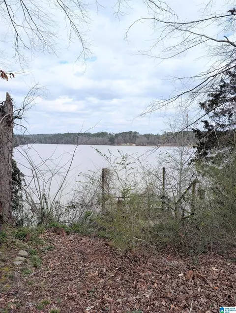 View/Area - 613 Smith Camp Loop, Adger, AL 35006 photo 3 of 3
