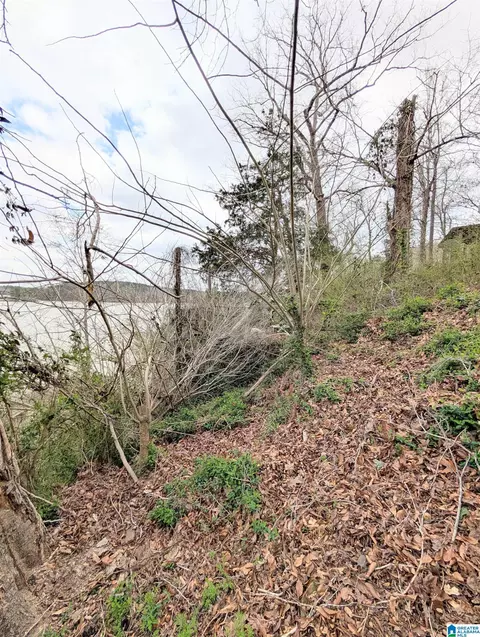 Other - 613 Smith Camp Loop, Adger, AL 35006 photo 5 of 5