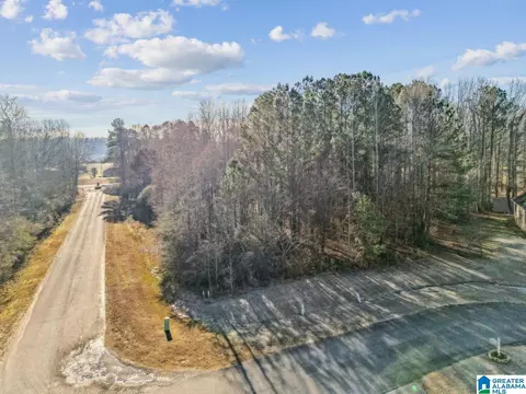 0 Branch Cv #25, Odenville, AL 35120