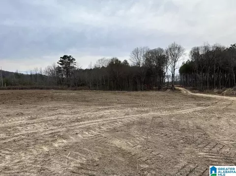 3712 Beasley Rd #-, Hokes Bluff, AL 35903