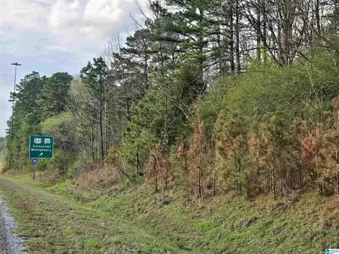 0 Highway 280 W #0, Sylacauga, AL 35150