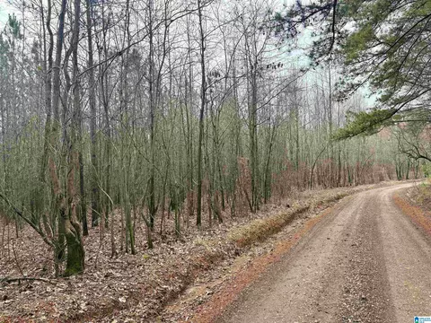0 County Road 670 #1, Ranburne, AL 36273
