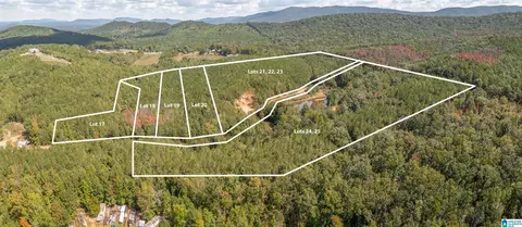 4 Acres Forest Edge Ln #19, Piedmont, AL 36272