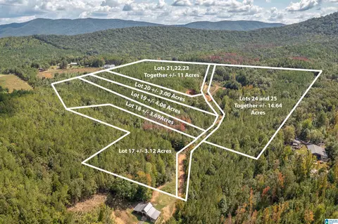 3 Acres Forest Edge Ln #20, Piedmont, AL 36272